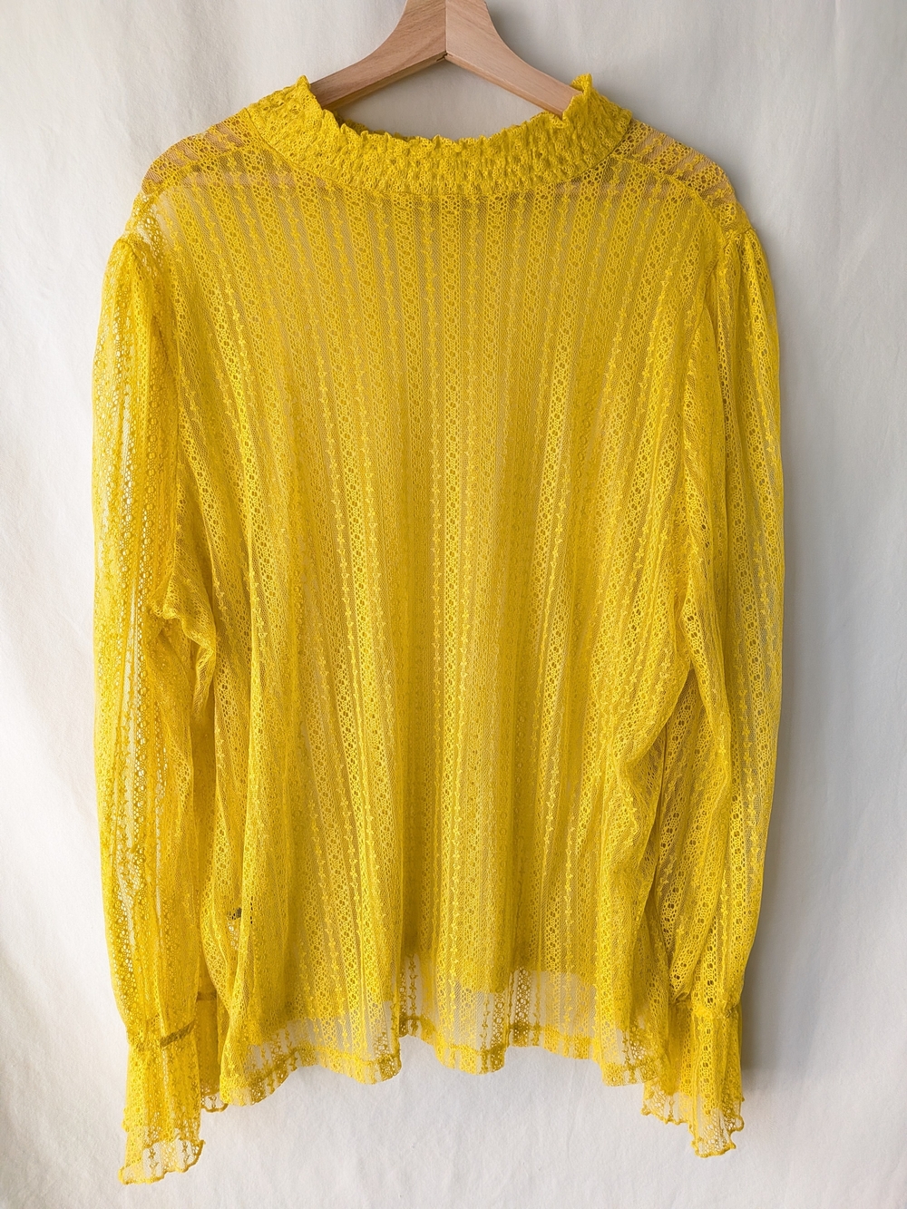 SHEIN Yellow Lace Long Sleeve Ruffle Neck Blouse